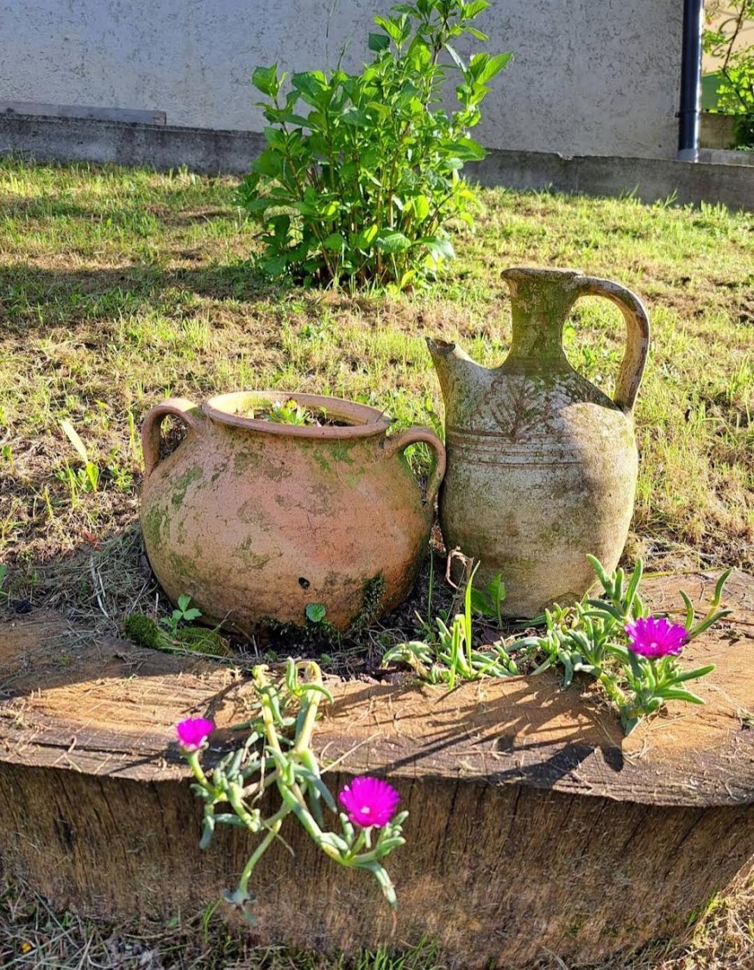 Mala Farma Nani Villa Visoko Exterior foto