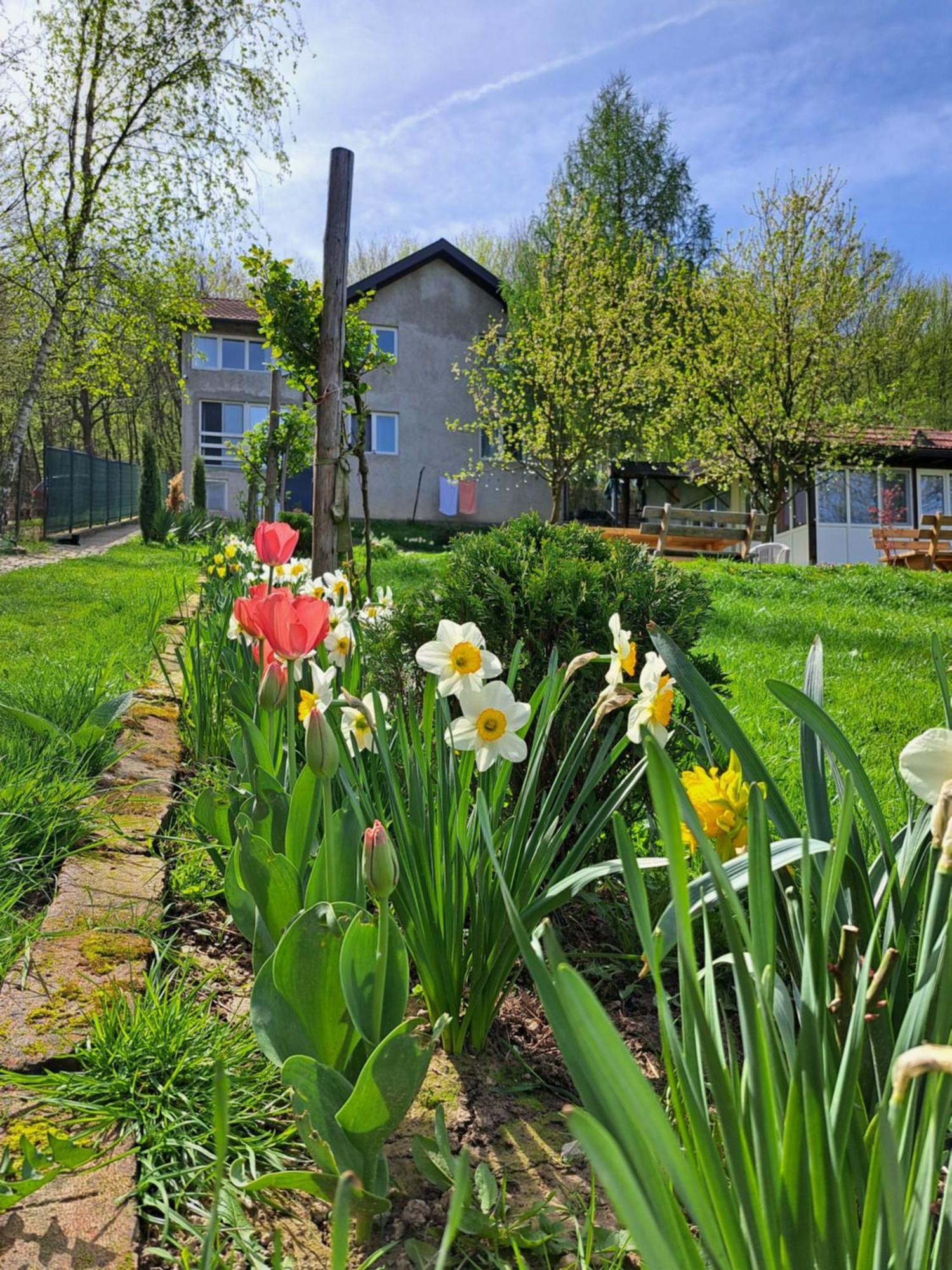 Mala Farma Nani Villa Visoko Exterior foto