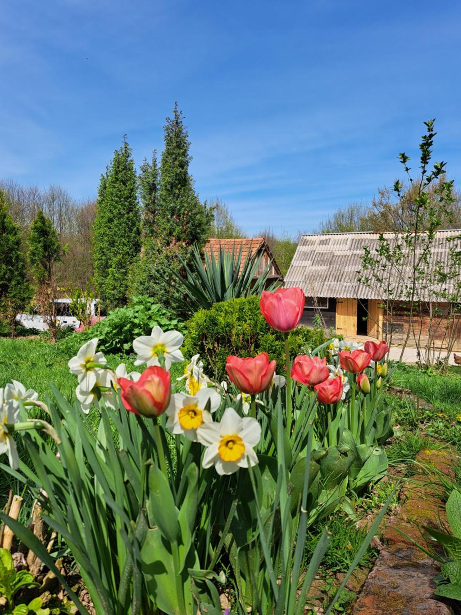 Mala Farma Nani Villa Visoko Exterior foto